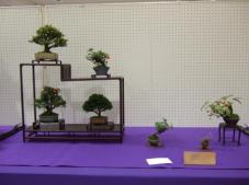 Kyusyu Exhibition (1)
